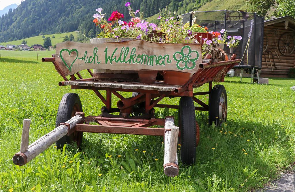 Obersinnlehenhof Maishofen Dış mekan fotoğraf